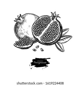 Pomegranate vector drawing. Hand drawn tropical fruit illustration. Engraved summer fruit. Whole and sliced objects with leaves and seeds. Botanical vintage sketch for label, juice packaging design