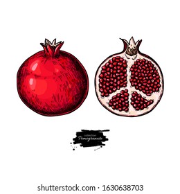Pomegranate vector drawing. Hand drawn tropical fruit illustration. Whole and sliced object with seeds. Botanical vintage sketch for label, juice packaging design, menu