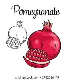 Icono de dibujo vectorial de granada. Frutos dibujados a mano en estilo retro, ilustración para el diseño de productos publicitarios tienda o mercado.