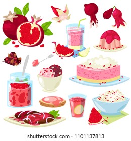Pomegranate vector fresh fruity food dessert ice cream or cake with garnet and sweet fruit of pomegranate-tree illustration set of vegetarian nutrition diet isolated on white background