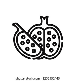 Pomegranate vector icon