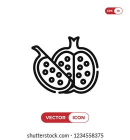 Pomegranate vector icon
