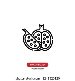 Pomegranate vector icon