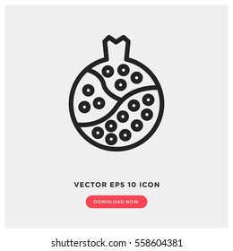 Pomegranate vector icon
