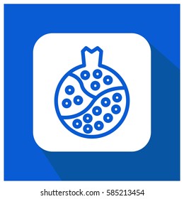 Pomegranate vector icon