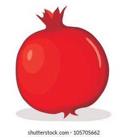 Pomegranate vector illustration