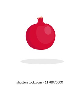 pomegranate vector illustration