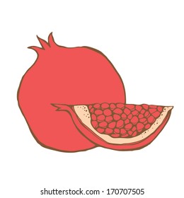 Pomegranate. Vector illustration