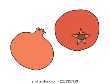 Pomegranate - vector illustration in cartoon style. Objects isolated on white background. Vector isolated icon.