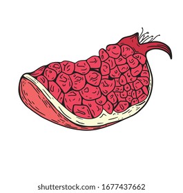 Ilustración vectorial granada. Ilustración de estilo grabado a mano. Dibujo detallado. Excelente para etiquetas, afiches, impresión, menú