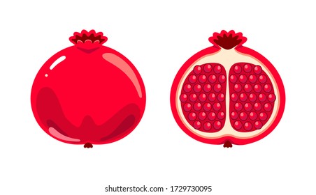 Pomegranate. Vector illustration isolated on white background.