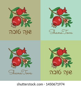 Pomegranate vector illustration on a colored background. Rosh hashana card for Jewish New Year. Greeting text Shana Tova.