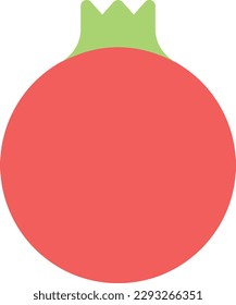 ilustración de pomegranate Vector en un fondo transparente. Símbolos de calidad superior. Iconos vectoriales de color de línea para el concepto y el diseño gráfico. 
