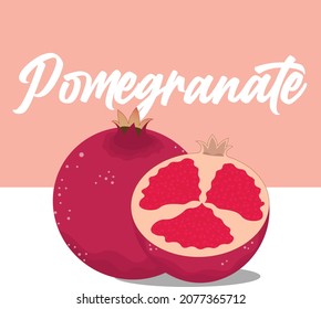 ilustración vectorial pomegranada con sección , hermoso diseño de fondo cuadrado