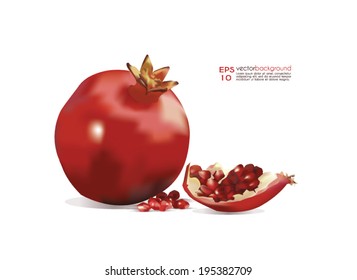 Pomegranate Vector Illustration. Whole pomegranate and a part of the fruit realistic image against white background. Use for food  and cosmetic package labeling, decoration, illustration. Editable.