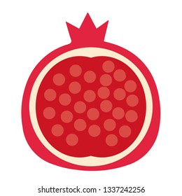 Pomegranate vector image