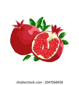 vector granado sobre fondo blanco