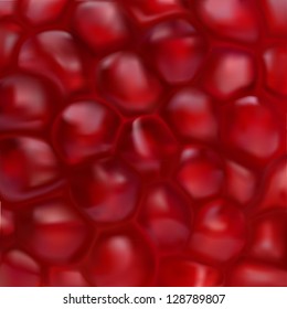 Pomegranate vector realistic texture,  highly detailed vector, gradient mesh