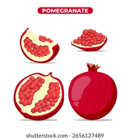 Pomegranate vector. Ripe and Fresh, isolated on white background.
