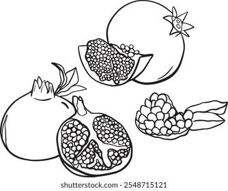 Granatapfel-Vektorgrafik-Set - Granatapfel-Illustrationen im handgezeichneten Doodle-Stil- Schwarze Linien-Kunstzeichnung auf Weiß- Ganzes Granatapfel, geschnittenes Granatapfel, Scheiben mit Blättern -