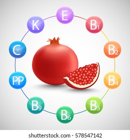 Pomegranate vitamins vector