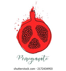 Pomegranate watercolor half sliced fruit botanical hand drawn vector illustration background. Rosh Hashanah card. Vegetarian eco food product, organic nutrition. For recipe book, floral menu cover.