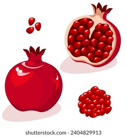 Pomegranate whole and cut in half. Pomegranate seeds. Vector illustration