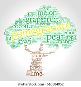 Pomegranate. Word cloud in shape of tree, grey gradient background. Fruit.
