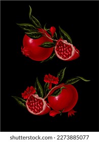 Ramas y flores de granadas. Vector.