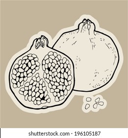Pomegranates cartoon vector.