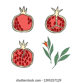 Pomegranates cut in half, seeds.  Pomegranate leaves and flower.  Hand drawn vector illustration. 