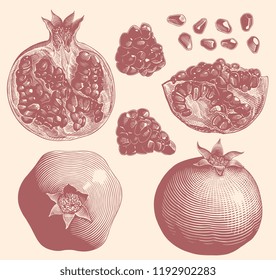 Pomegranates. Design set. Hand drawn engraving. Editable vector vintage illustration. Isolated on white background. 8 EPS 