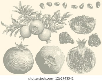 Pomegranates. Design set. Hand drawn engraving. Vector vintage illustration. Isolated on light background. 8 EPS