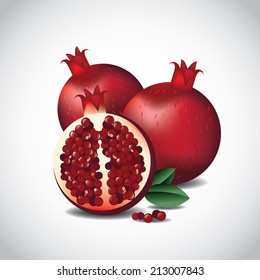 Pomegranates EPS 10 vector EPS 10 vector