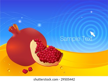 Pomegranates fresh vector background.