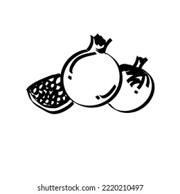 Pomegranatos. Ilustración de doodle dibujada a mano. Vector