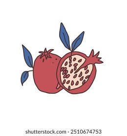 Pomegranates isolated on white background. Ripe fruits and leaves. Vector hand drawn illustration