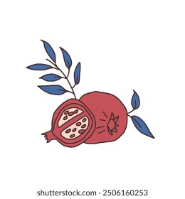 Pomegranates set isolated on white background. Ripe fruits and leaves. Vector hand drawn doodle illustration