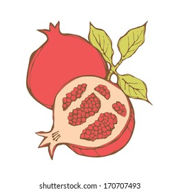 Pomegranates. Vector illustration