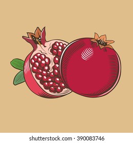 Pomegranates in vintage style. Colored vector illustration