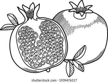 Granatapfel. Ganzes Obst und halb. Vektorgrafiken. Schwarzer Umriss. 