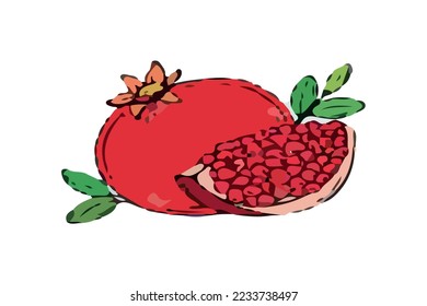 pomegrante slıce vector pink colored 