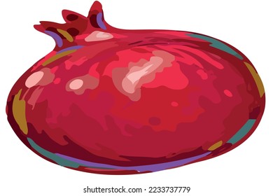 pomegrante vector red and pink colored