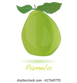 Pomelo or Chinese grapefruit isolated vector on white