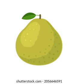 Pomelo citrus fruit with leaf in flat style. Vector illustration isolated on white background