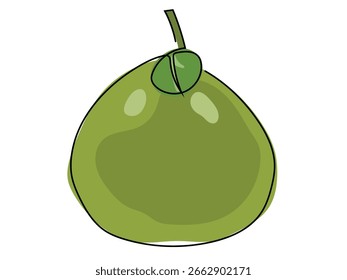 Pomelo in a continuous line pattern