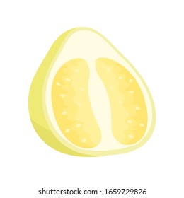 Pomelo cut . Isolated vector illustration