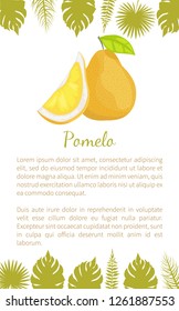 Pomelo exotic fruit vector poster text sample and palm leaves. Tropical food, similar to grapefruit or pear, dieting vegetarian citrus pumeelo