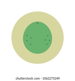 pomelo flat design icon