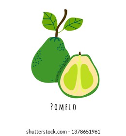 Pomelo fruit flat vector illustration. Cartoon slices of fresh tropical fruit. Isolated icon with shadow. Citrus creative clipart with typography for healthy cooking menu, logo, design element